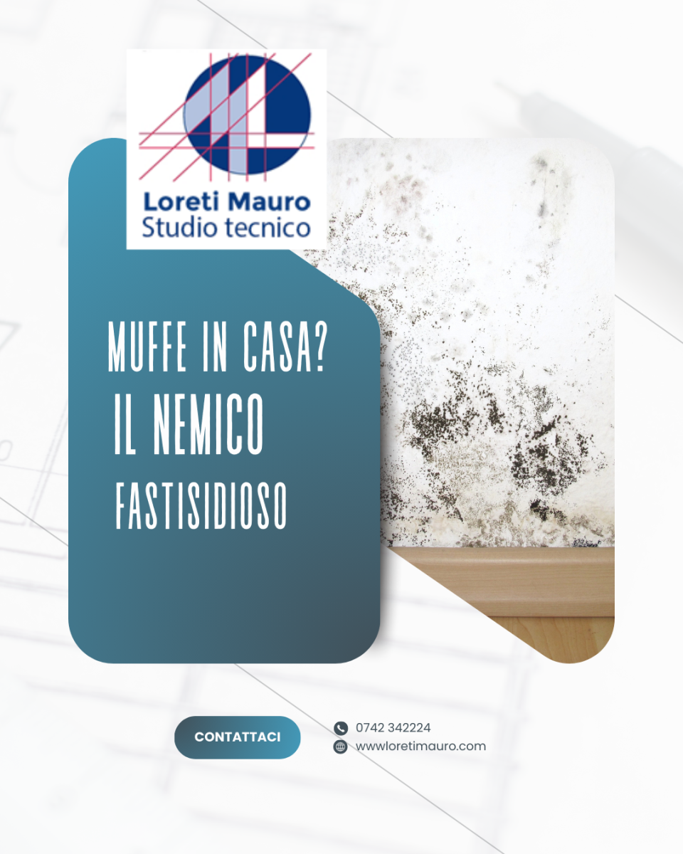 Muffa e umidità  un rischio silenzioso per salute e edifici